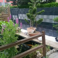 Zaunanlage um einen Garten